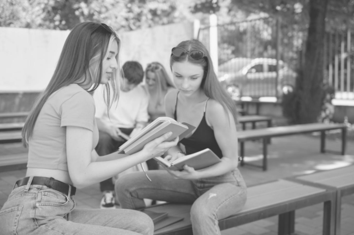 Professionelle Netzwerk-Tools und Diagnose-Software im Einsatz